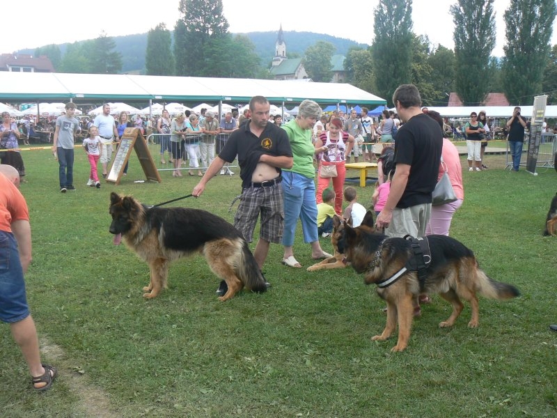 Święto Morza 2013