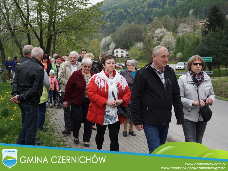 Wiosenny Redyk 2016 w Międzybrodziu