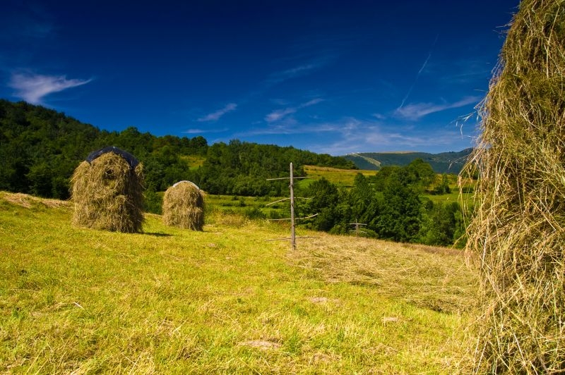 Konkurs fotograficzny WIOSNA-LATO
